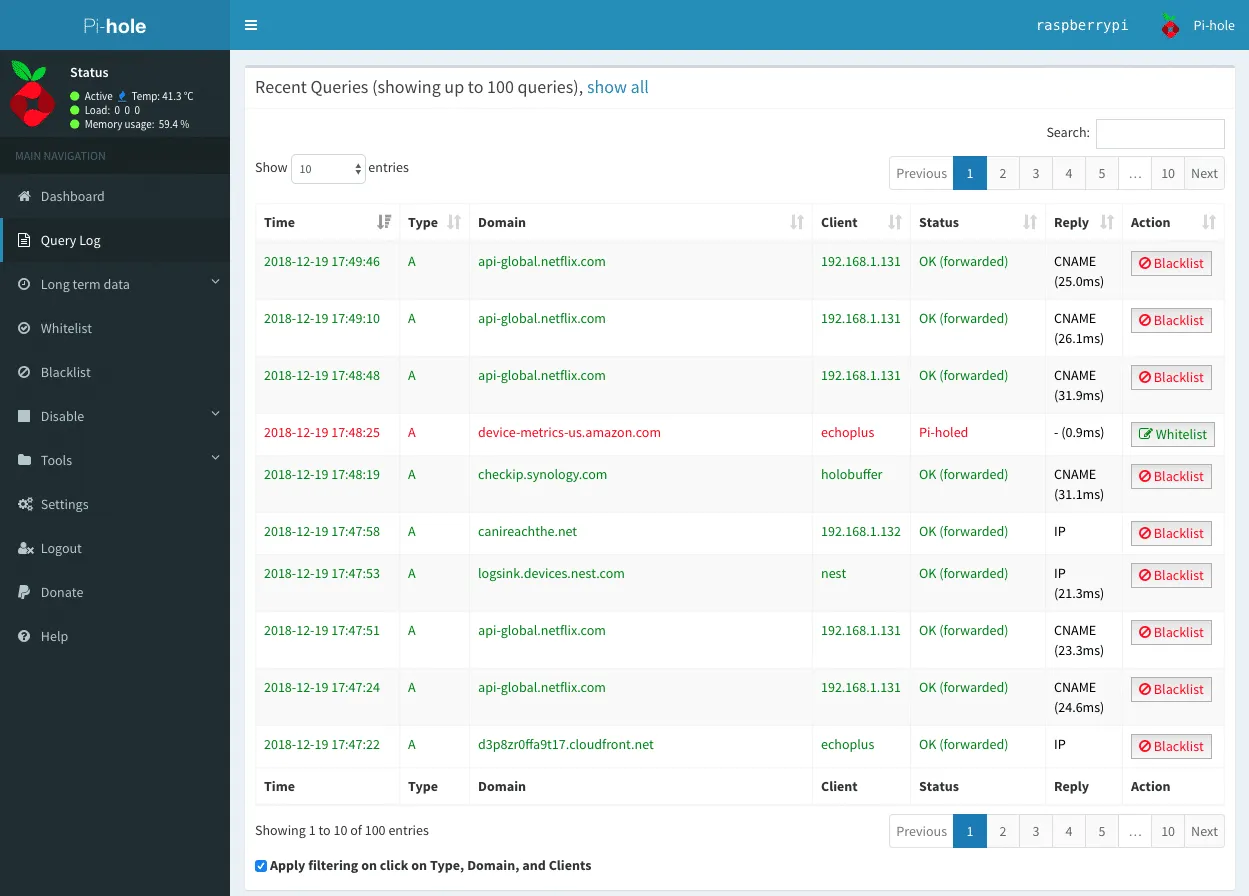 Pi-hole real-time DNS query log showing permitted and gravity-blocked domains