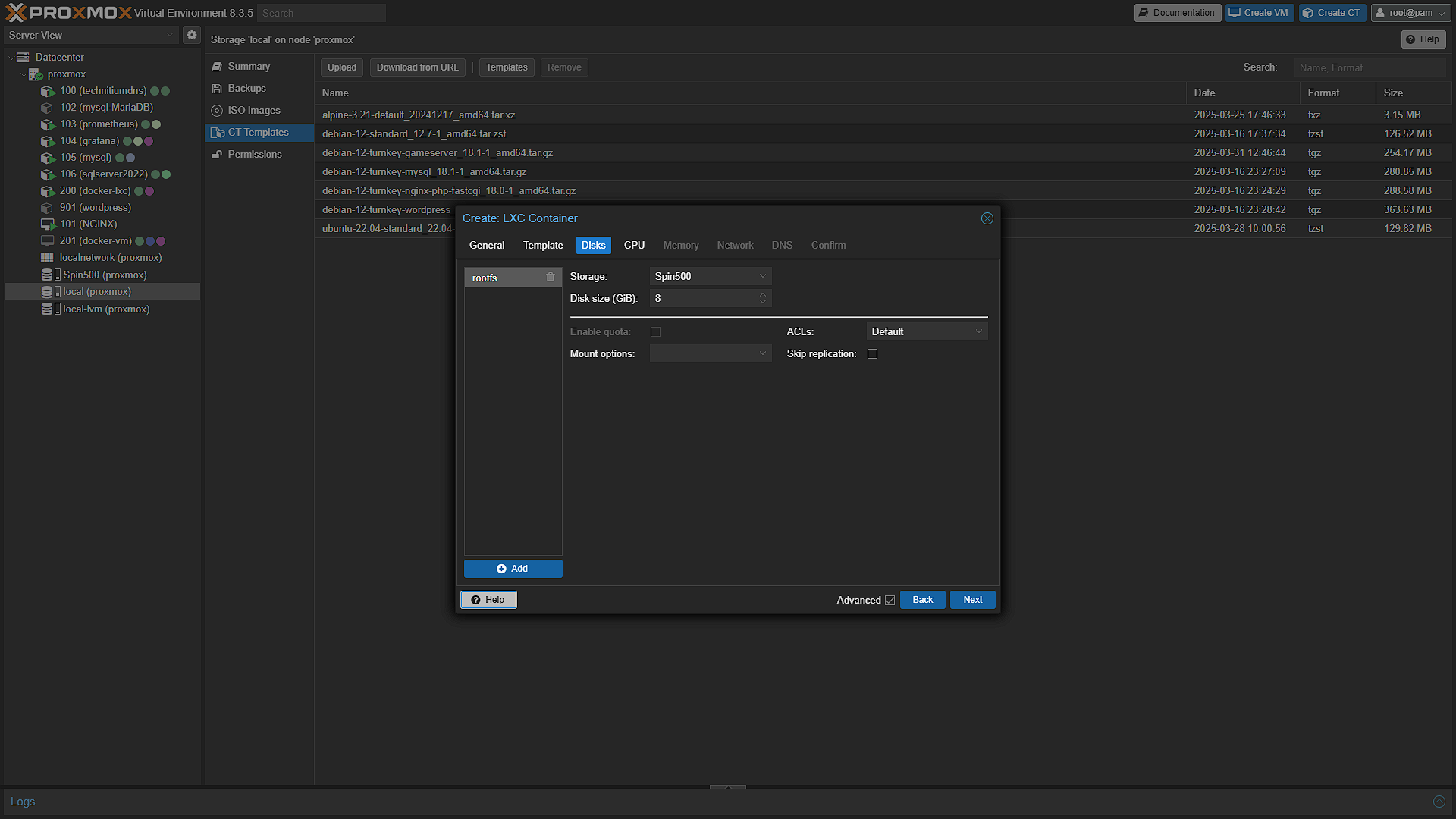 Create Gameserver Container - 3 - Disks