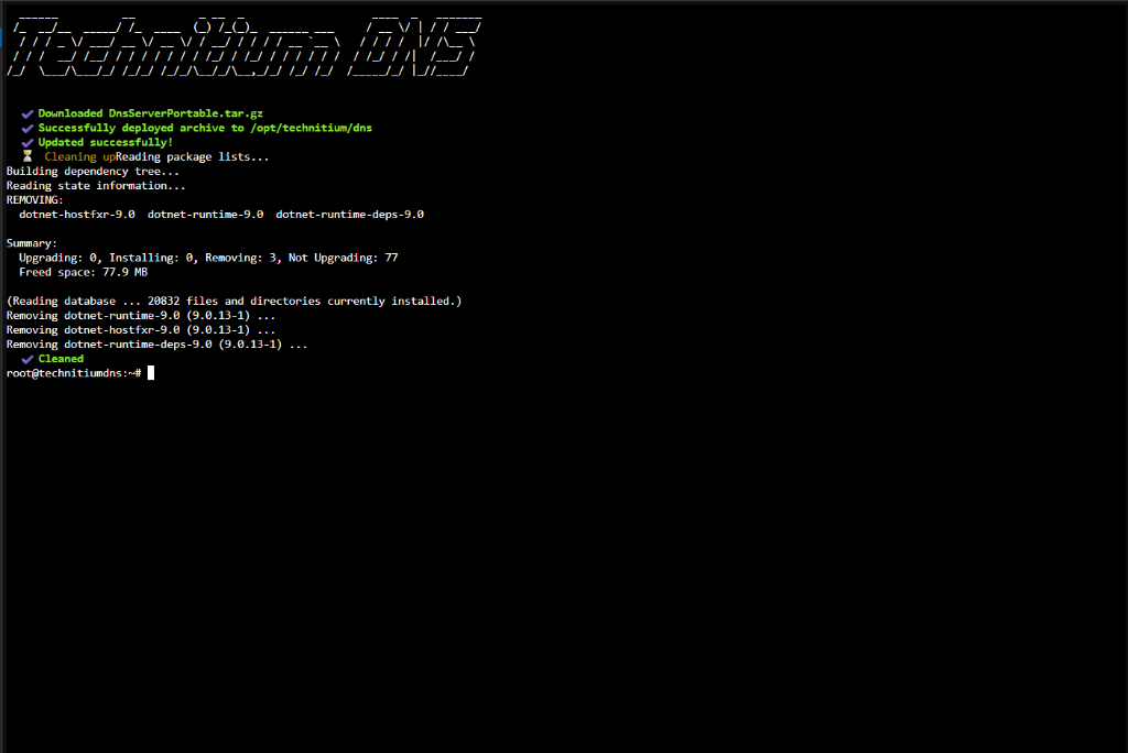 Proxmox Technitium DNS LXC console showing Updated successfully and cleanup of older .NET runtime packages